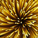 Illustration for article titled The spaghetti mystery that baffled a Manhattan Project scientist